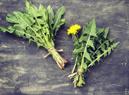 dandelion greens