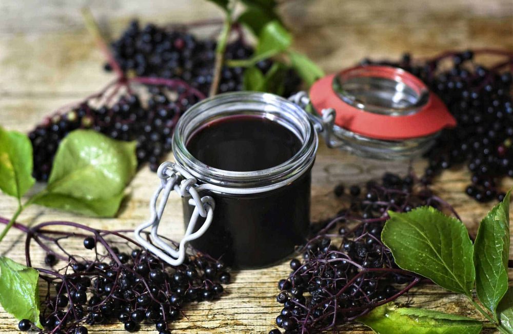elderberry syrup