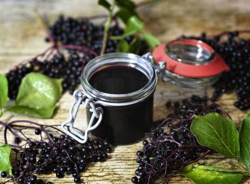 elderberry syrup