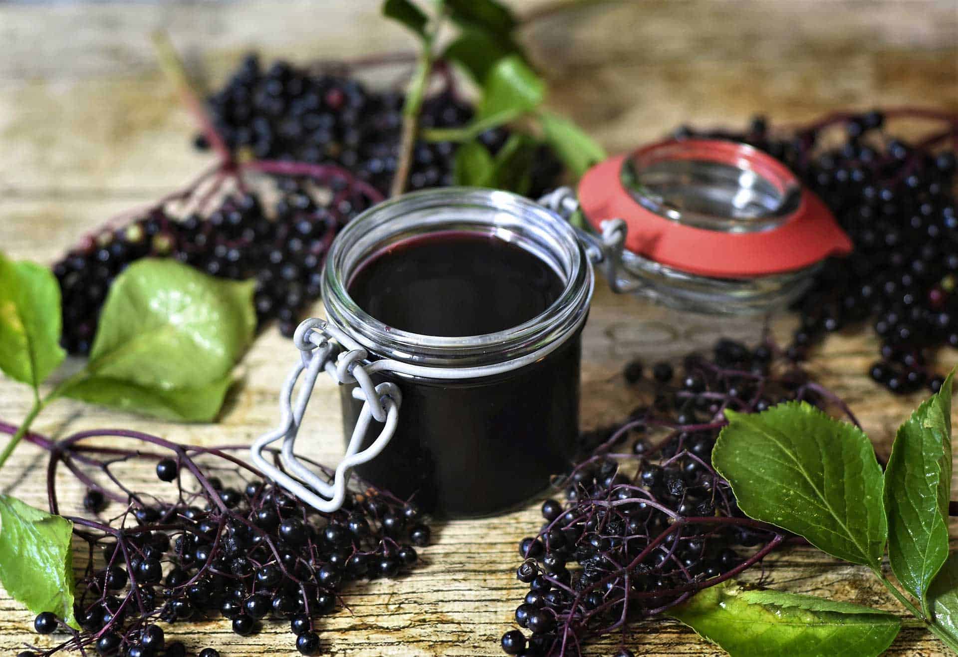 elderberry syrup