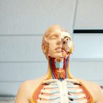 What’s the Difference Between Occupational Health and Occupational Safety?