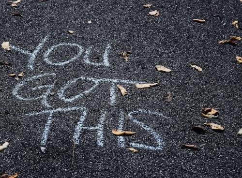 brown dried leaves on sand