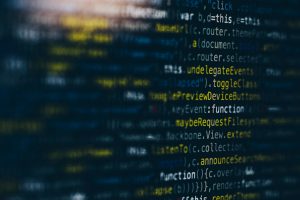 What is the difference between a data analyst and a data scientist?