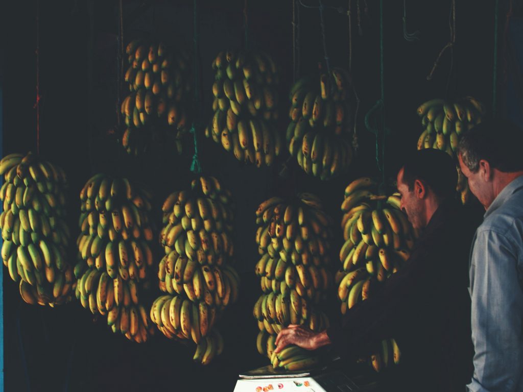 louis hansel 4z qcPLZXO0 unsplash