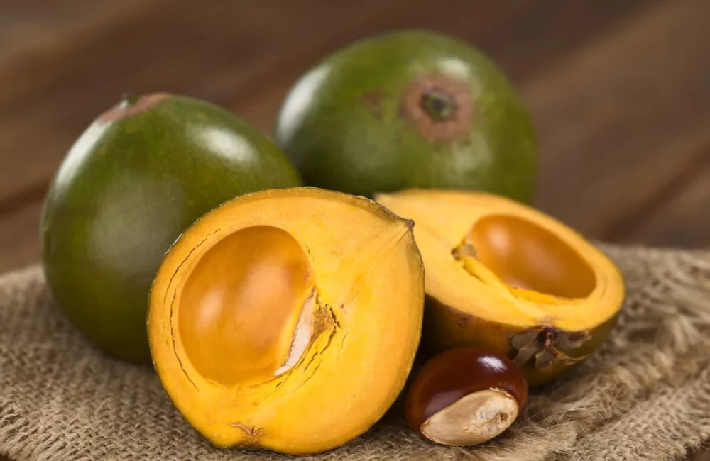 lucuma