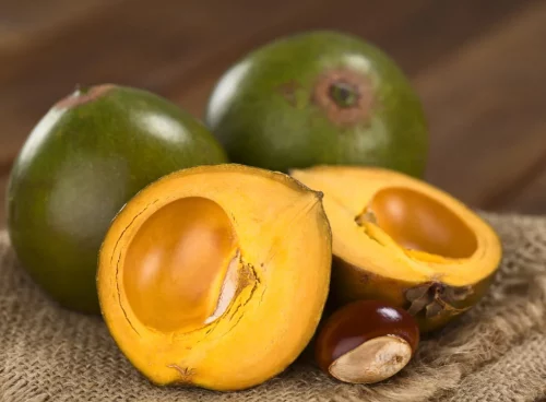 lucuma