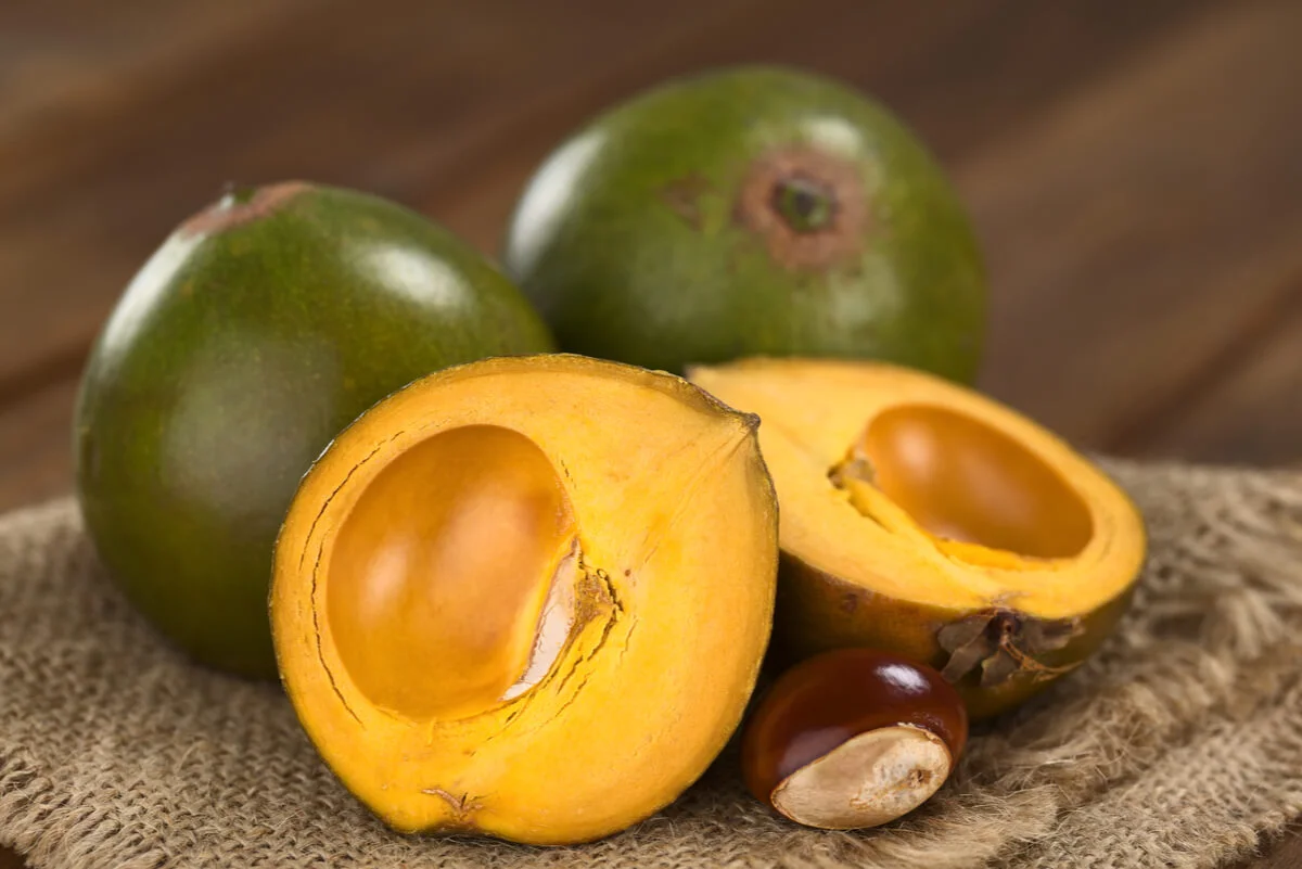 13 Surprising Health Benefits of Eating Lucuma 1 lucuma