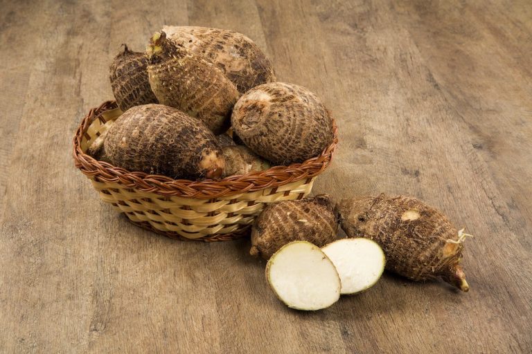 15 Amazing Health Benefits of Eating Malanga as Part of a Healthy Diet
