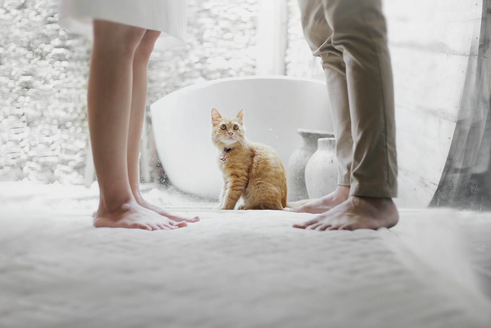 How to Overcome Infidelity in Marriage? 1 orange tabby cat sitting between standing man and woman inside room