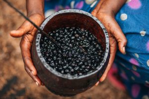 12 Best Foods High in Theobromine for Mood Enhancement