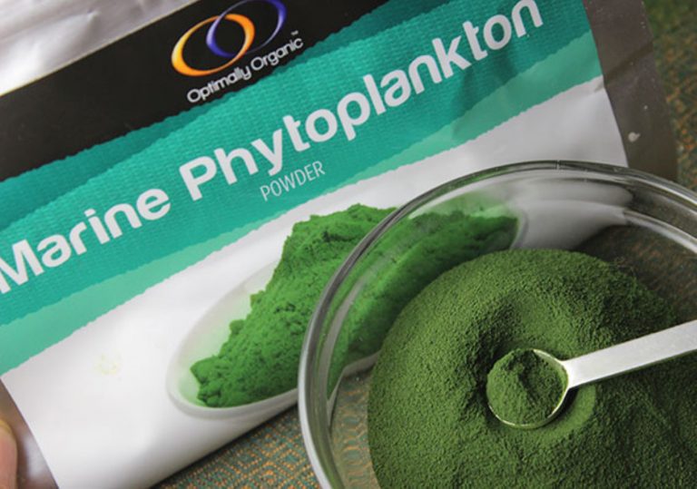 Are Phytoplankton Supplements Good for You?