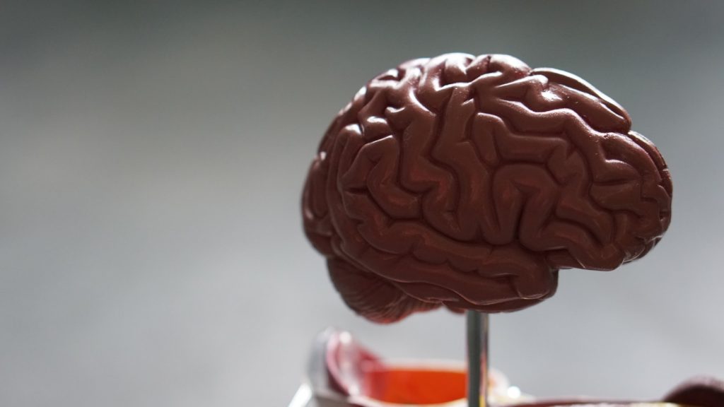 15 Best Foods for Enhancing Mental Clarity 1 15 Best Foods for Enhancing Mental Clarity