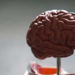 15 Best Foods for Enhancing Mental Clarity