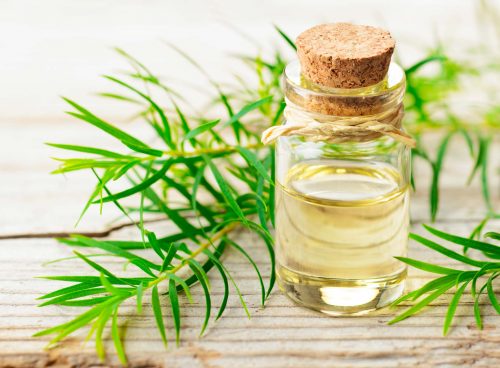 tea tree oil
