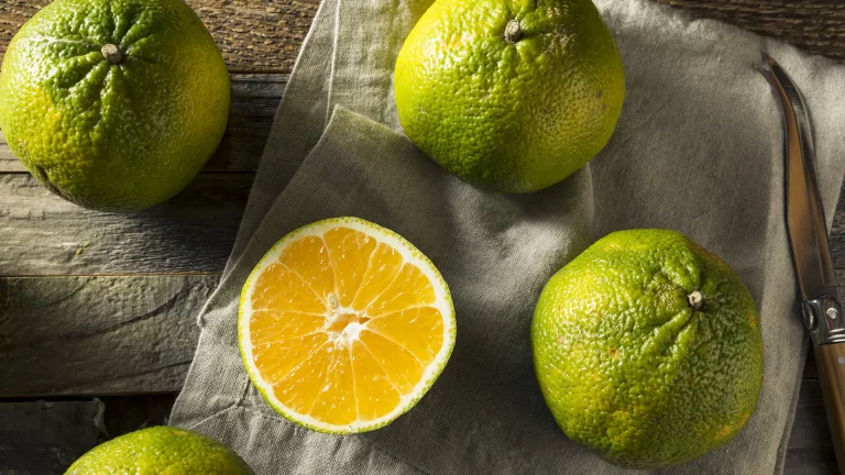 How Ugli Fruit Can Help You Lose Weight: Nutritional Benefits and Tips