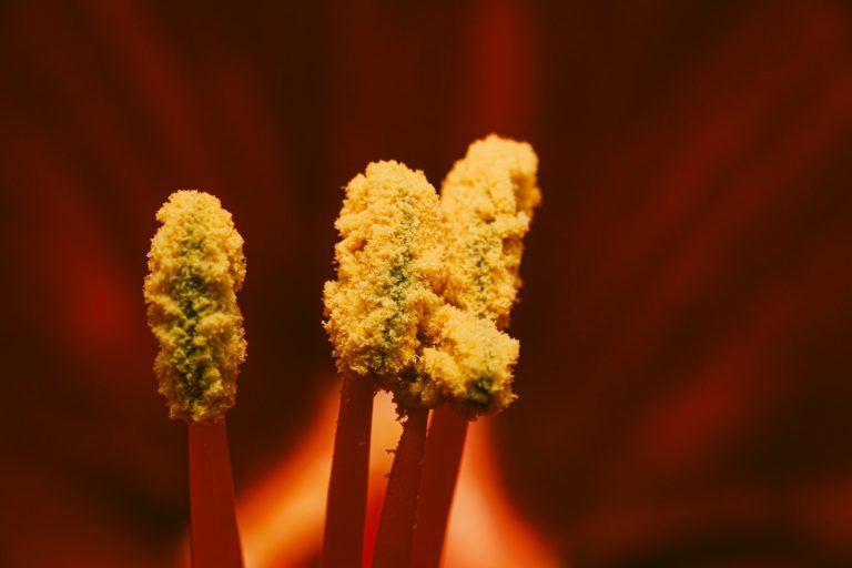 10 Outdoor Activities You Should Avoid if You Have Pollen Allergies