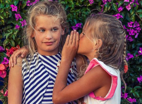 06147ec3 20c4 41f0 bc77 c133553848ec 1