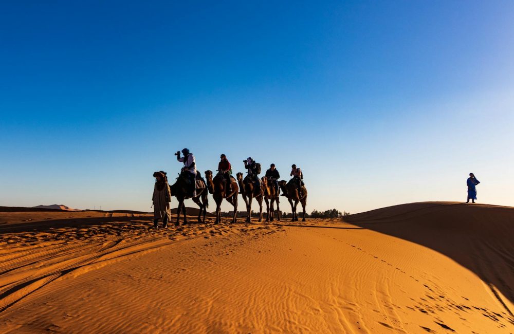 People Riding on Camels
