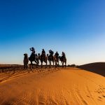 10 Best Places to Visit for Camel Caravans