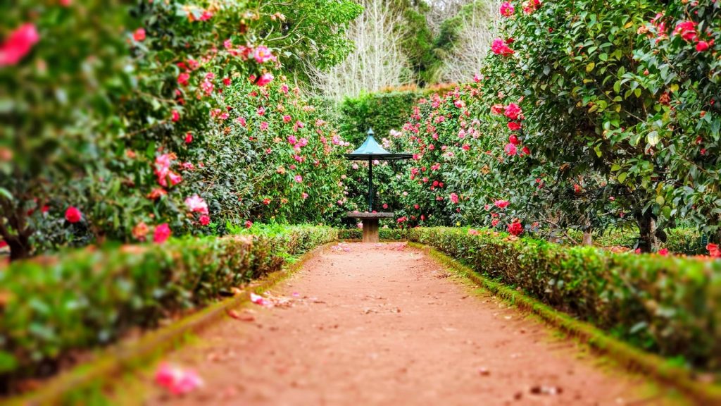 14 Most Beautiful Gardens in the World that You Should Visit 1 14 Most Beautiful Gardens in the World that You Should Visit