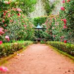 14 Most Beautiful Gardens in the World that You Should Visit