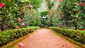 14 Most Beautiful Gardens in the World that You Should Visit