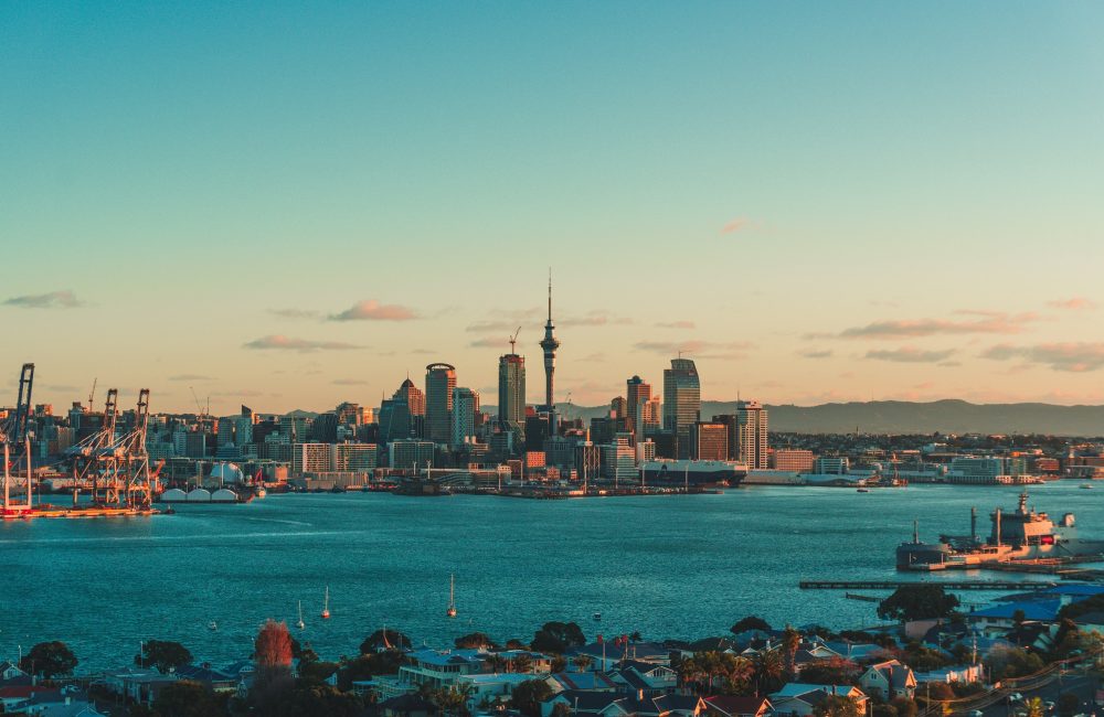 1a443617 eec4 40cc 86d4 c6e130e5c257 1