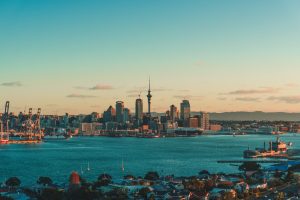 Why are people from New Zealand also known as Kiwis?