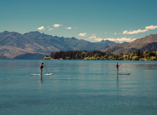 two person riding on paddle boards during daytime
