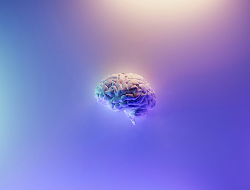 Why Are Some Humans Smarter Than Others? 1 Why Are Some Humans Smarter Than Others?