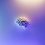 Why Are Some Humans Smarter Than Others?