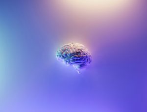 Why Are Some Humans Smarter Than Others?