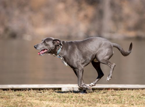 33a62a76 986e 46de aa9d d1d6886cc9ca 1