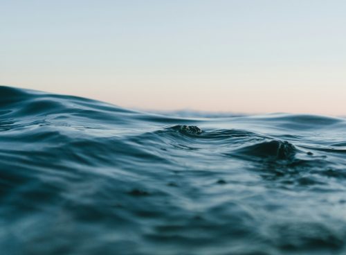 384cff6f 02e2 492d 98f0 0aa32fb43ca1 1