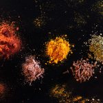 Why We Crave Spicy Food: The Biological and Cultural Fascination with Fiery Flavors