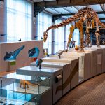 12 Revolutionary Science Museums for Curious Minds