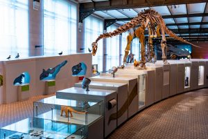 12 Revolutionary Science Museums for Curious Minds