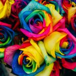 Why do certain colors affect our mood? Examining the psychological impact of colors on human emotions