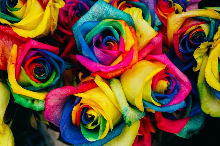 Why do certain colors affect our mood? Examining the psychological impact of colors on human emotions