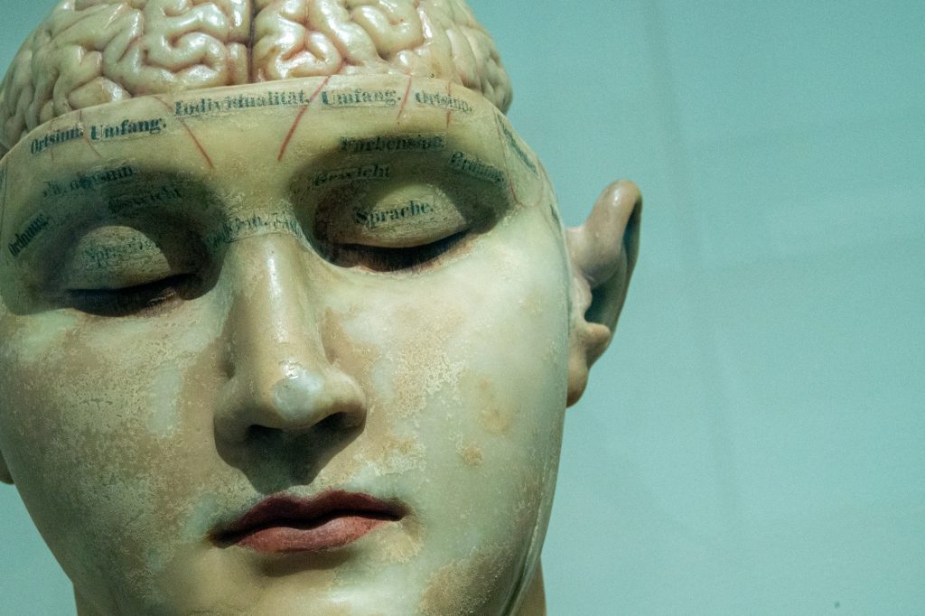 Why are humans so much smarter than other animals?