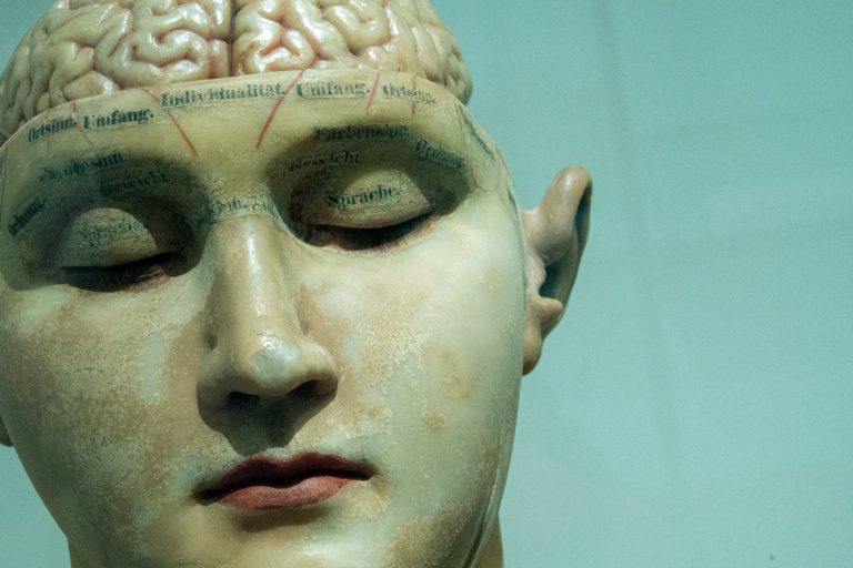 Can We Learn While We Sleep?