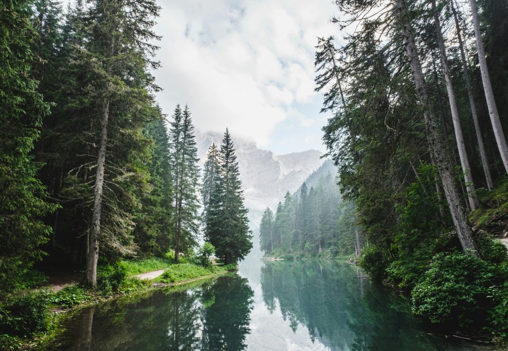 15 Best Places for a Digital Detox Retreat 1 15 Best Places for a Digital Detox Retreat