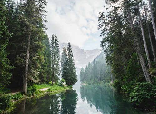 4327771d 4982 4046 b91c 8a20ffbac2f5 1