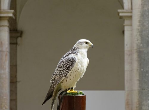 52dc9b24 6adb 4a1c b8b4 db3f11701c4a 1