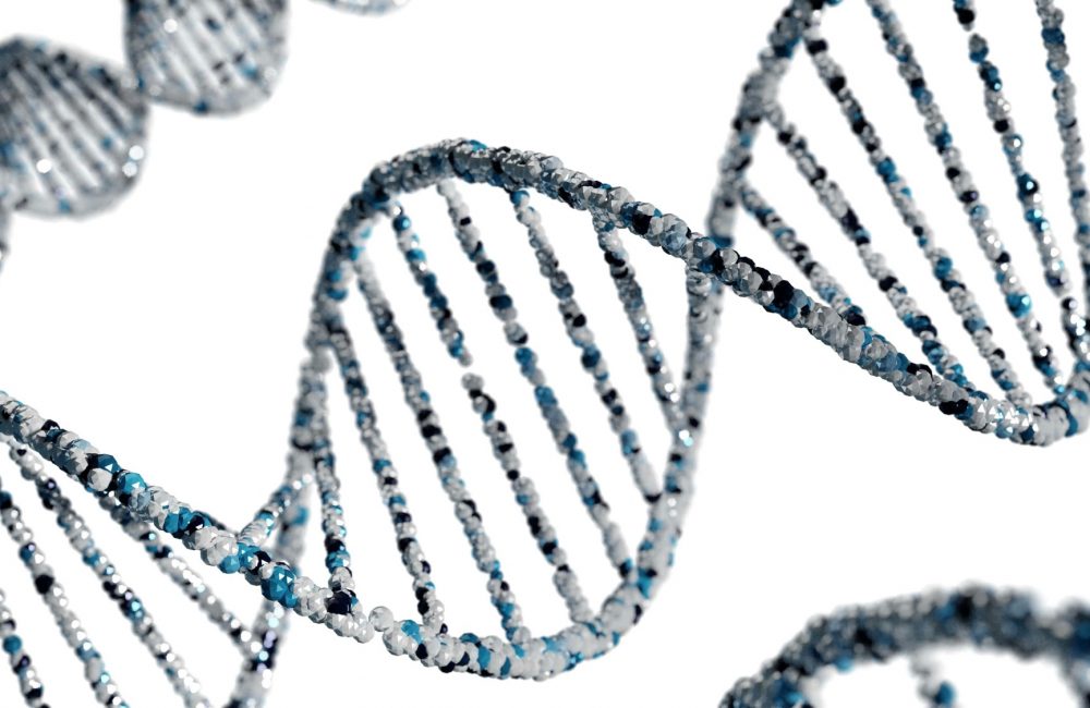 59a26e3b b77b 4956 bffe dd7b1692fcdd 1