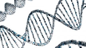 Can Biological Men Have XX Chromosomes? A Detailed Exploration of XX Male Syndrome and Related Conditions