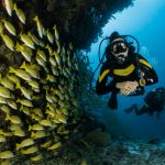 11 Best Places to Visit for Scuba Diving