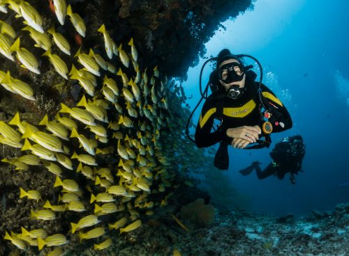 two people scuba diving underwater