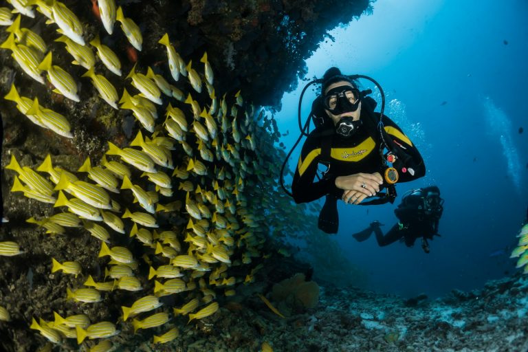 11 Best Places to Visit for Scuba Diving