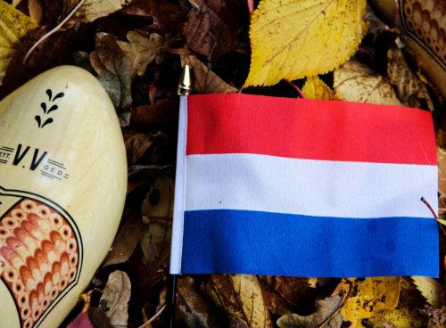 81db6a37 6e27 4fd2 a56a ce8cfaeb5915 1